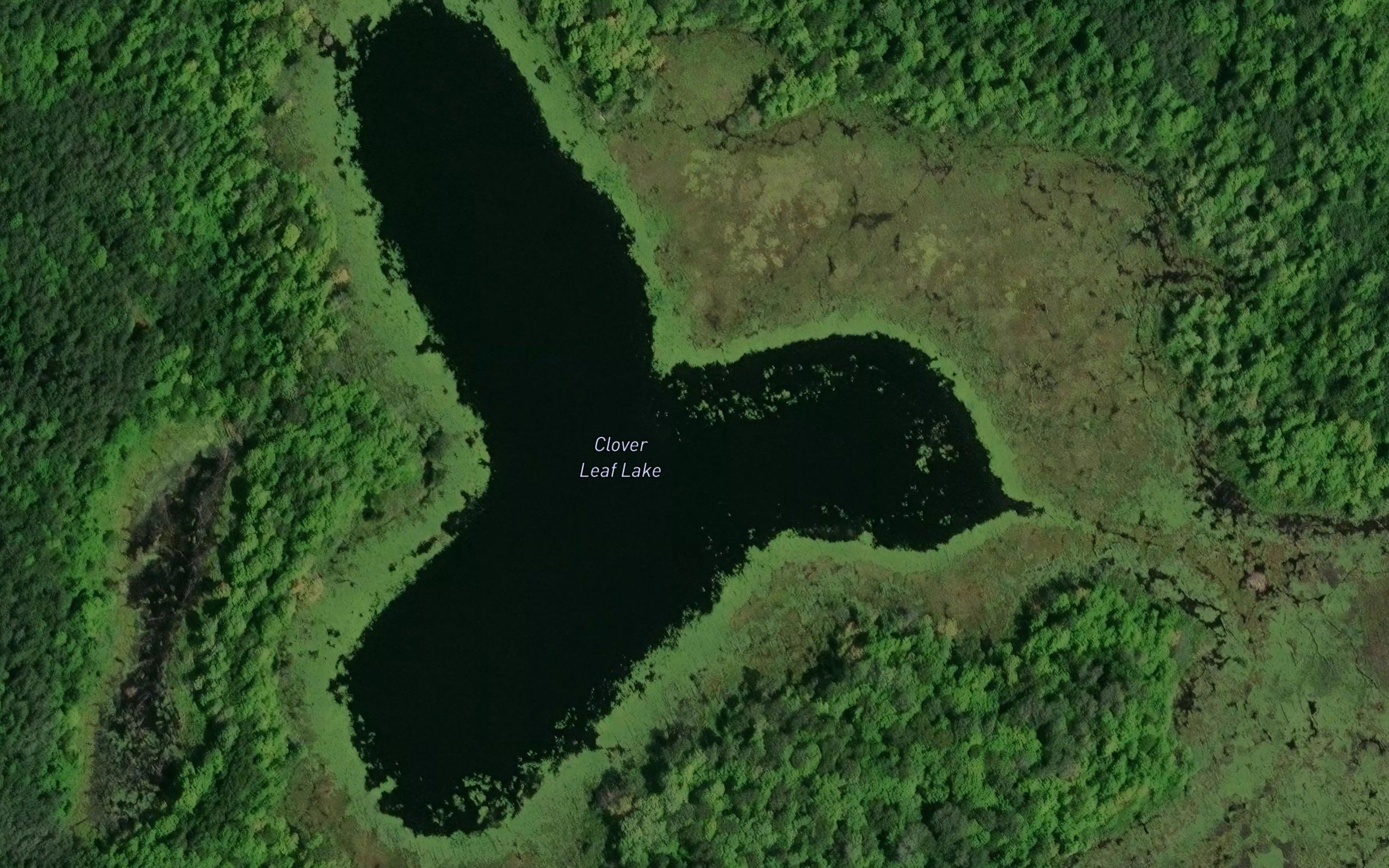 Clover Leaf Lake