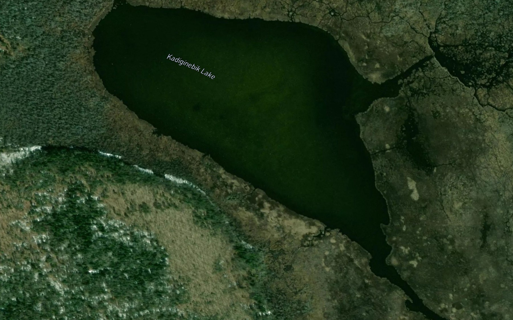 Satellite map of the Kadiginebik Lake