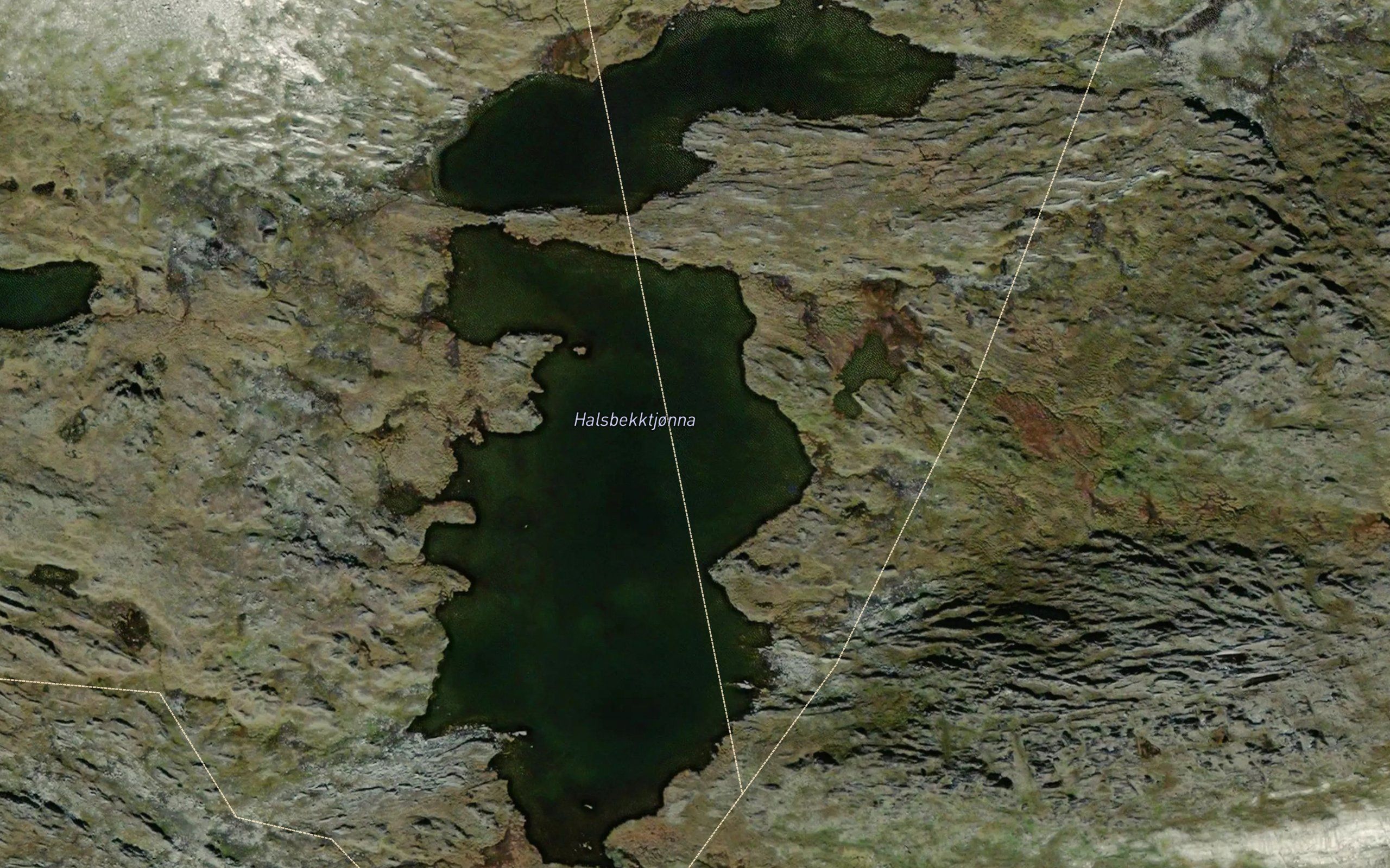 Halsbekktjonna