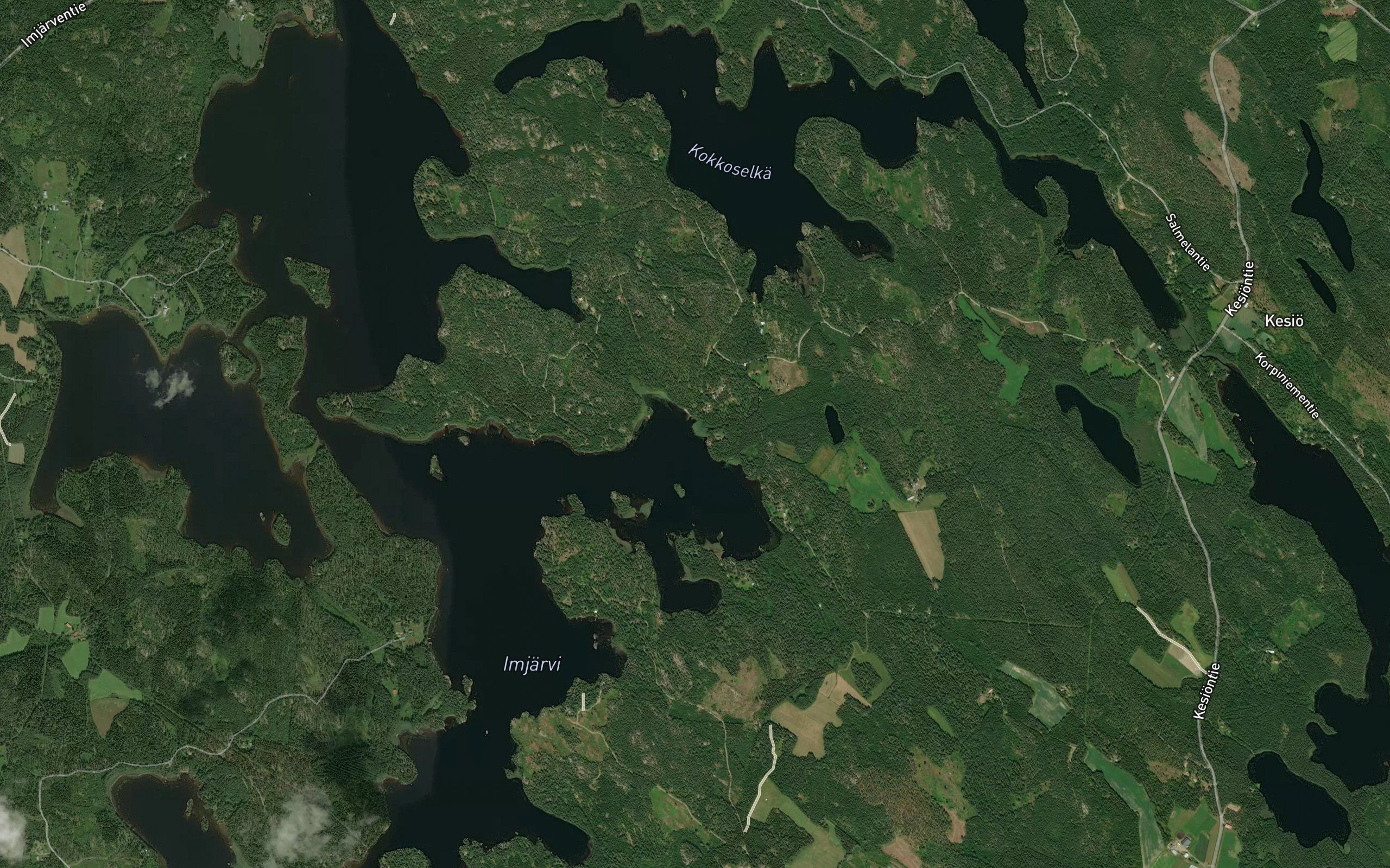 Korpijoki