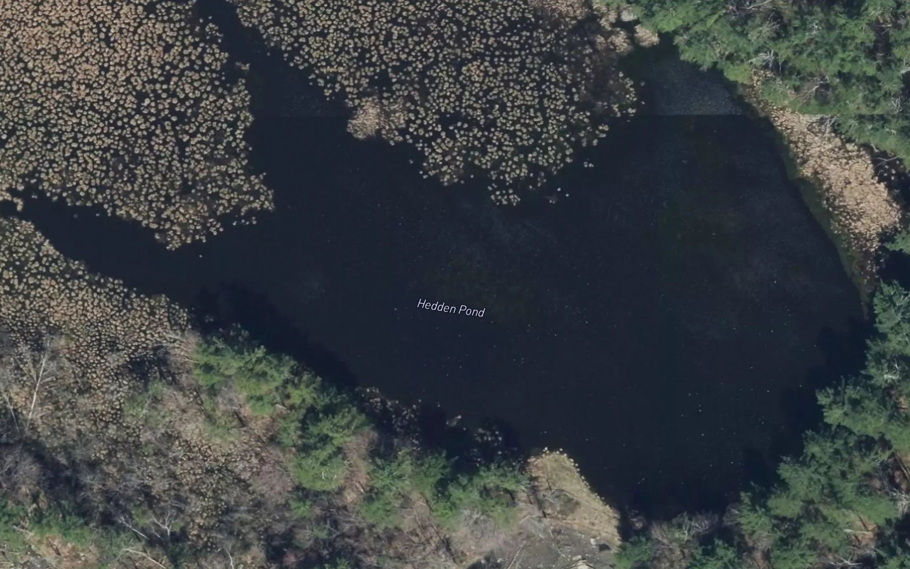 Satellite map of the Hedden Pond