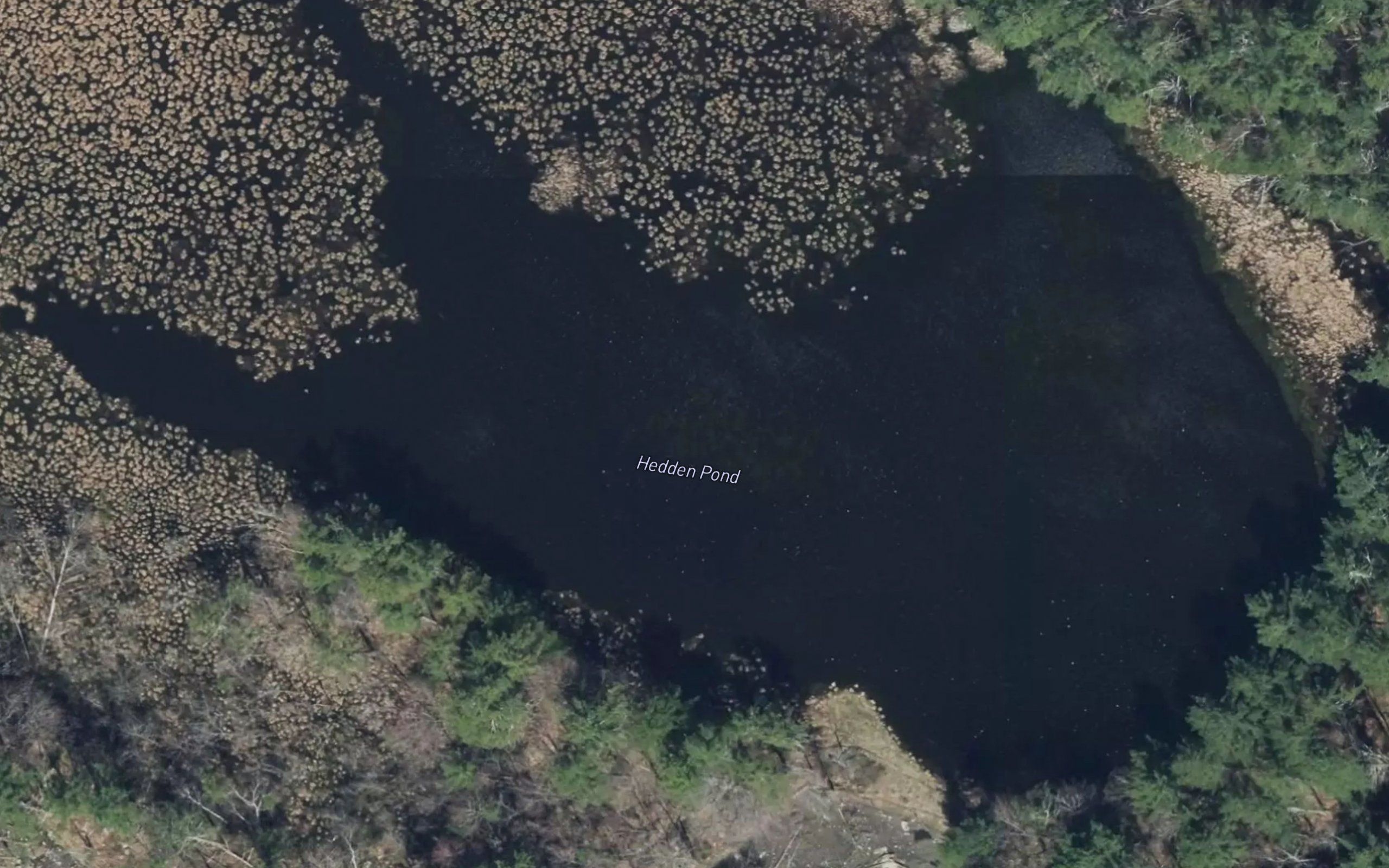 Hedden Pond