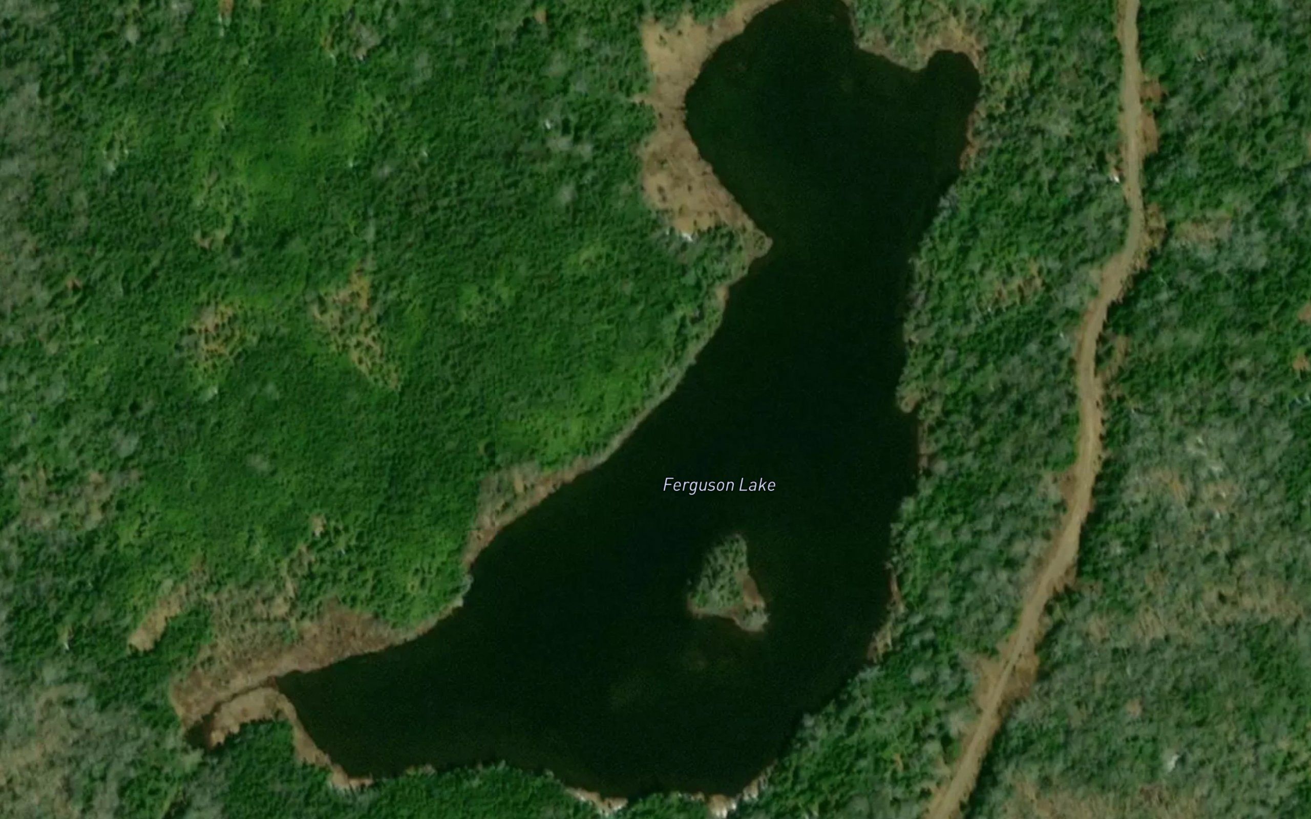 Ferguson Lake