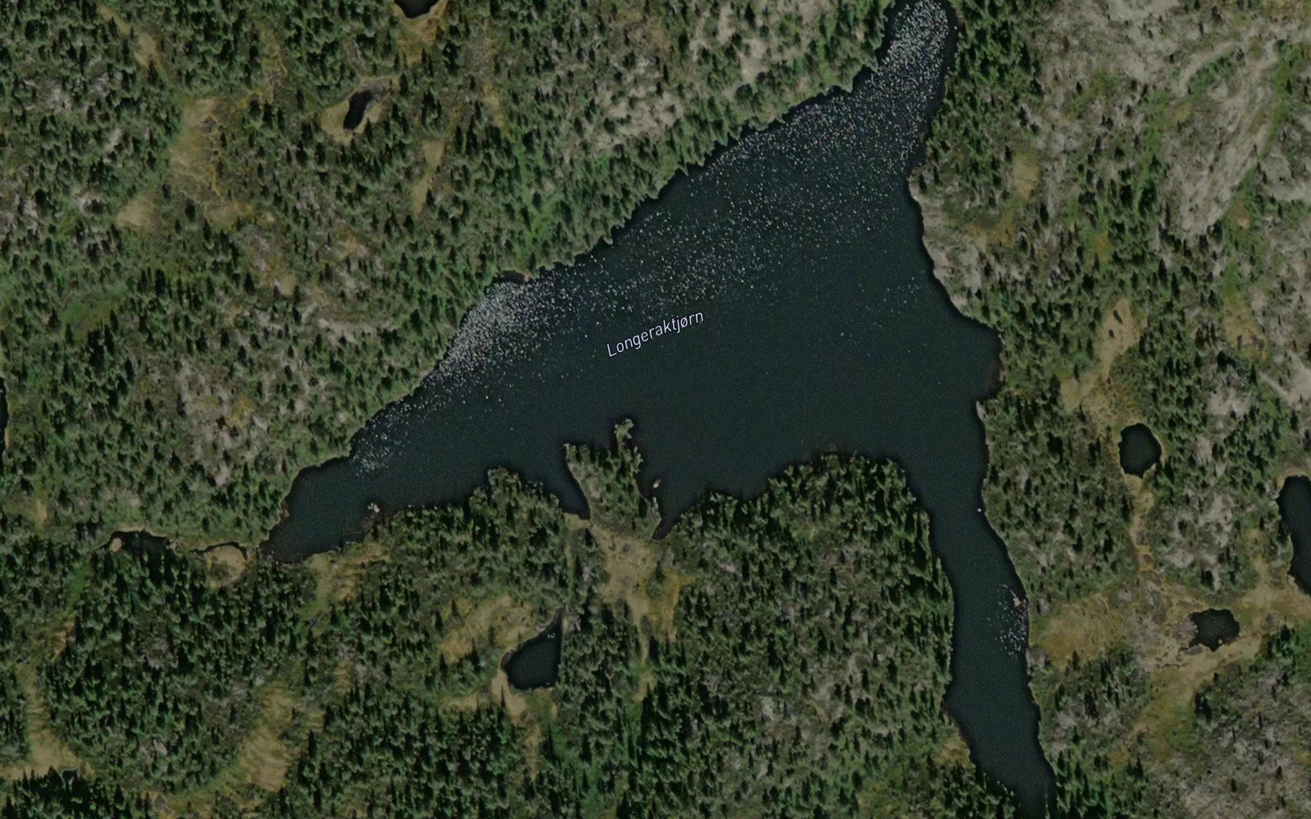 Longerakstjonn