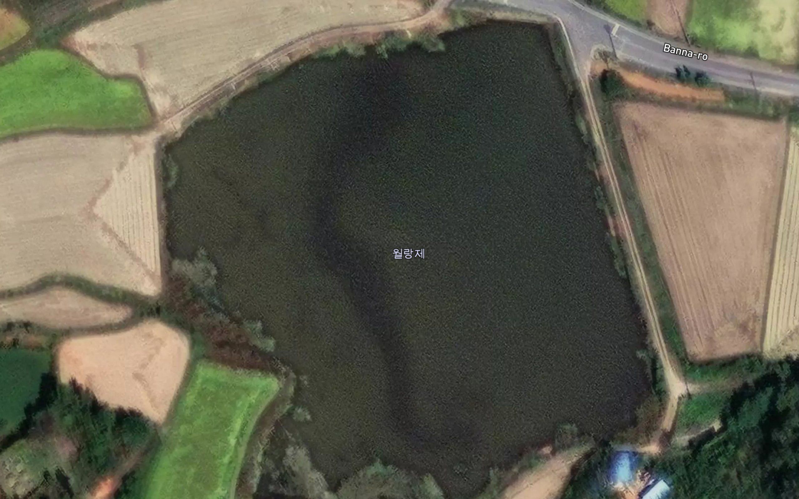 Wollangje