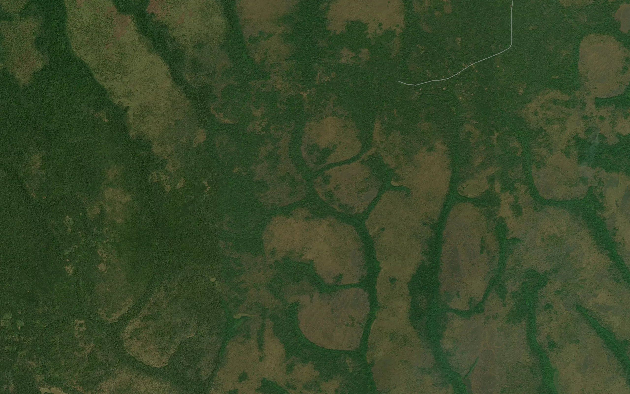 Nakisi