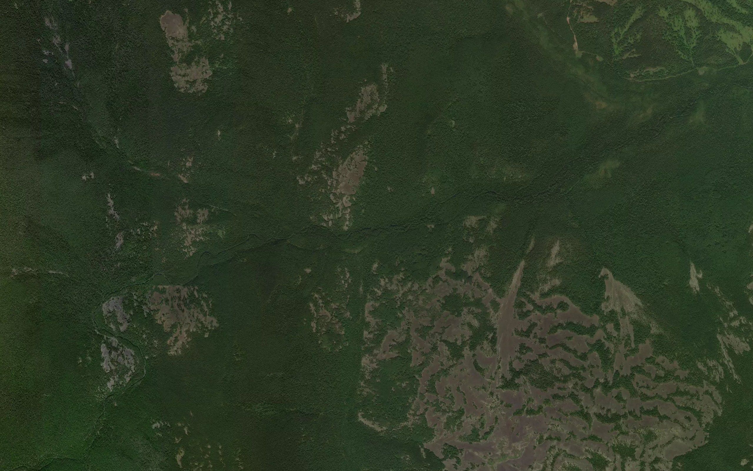 Petushok