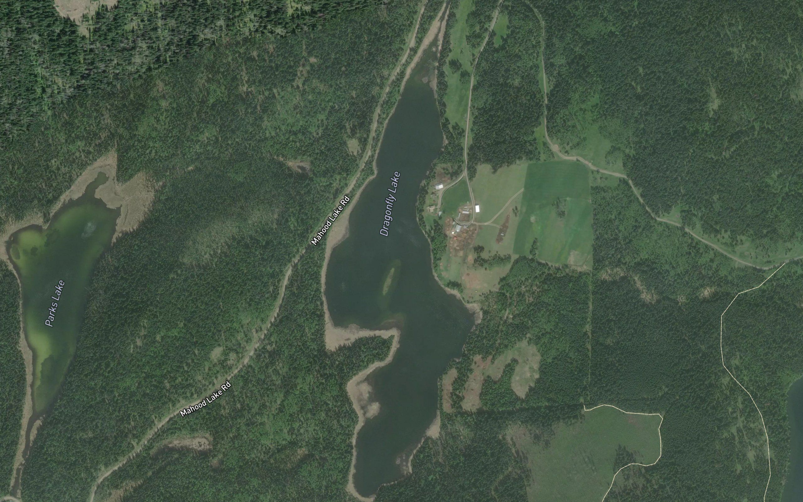 Dragonfly Lake