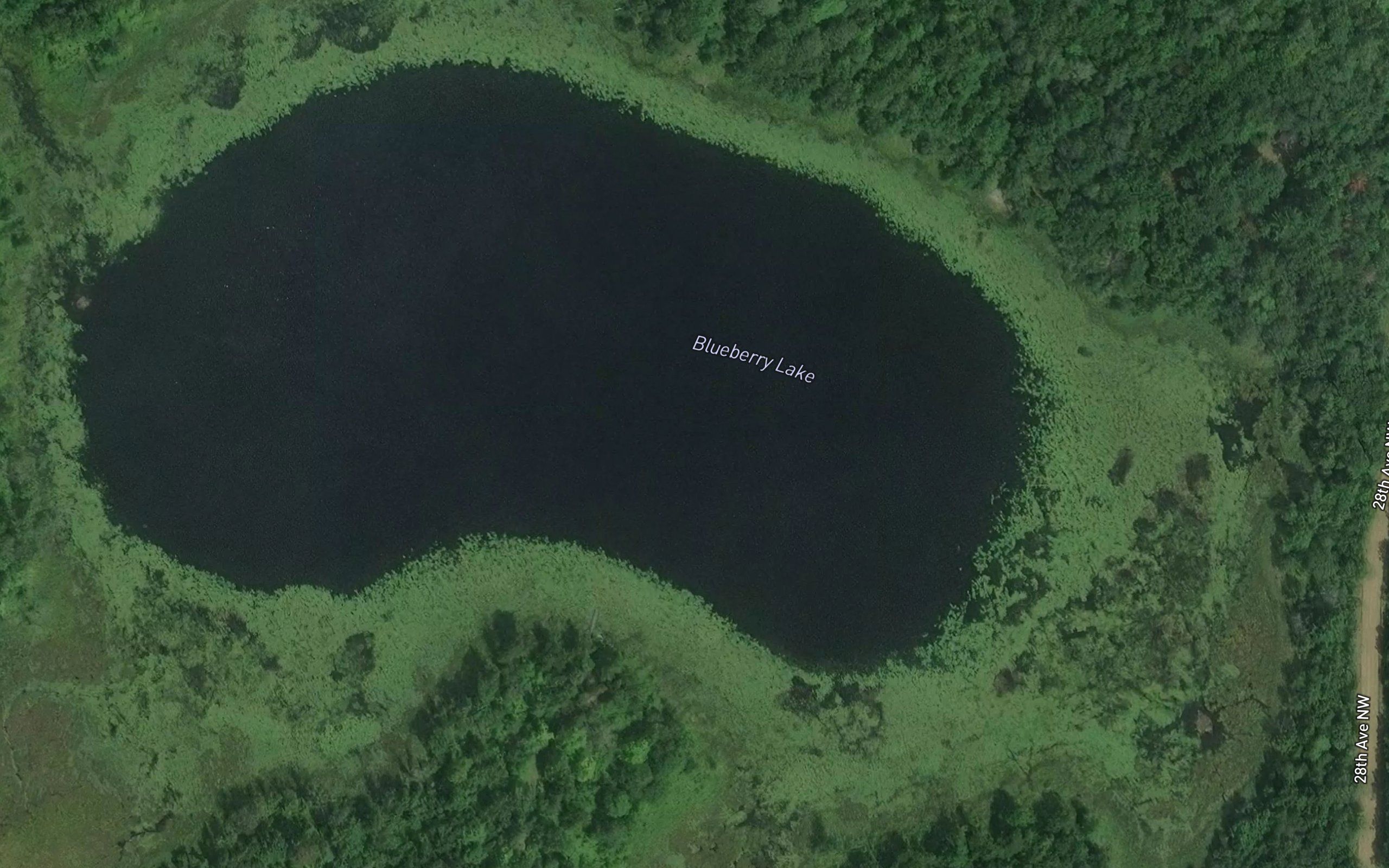Blueberry Lake