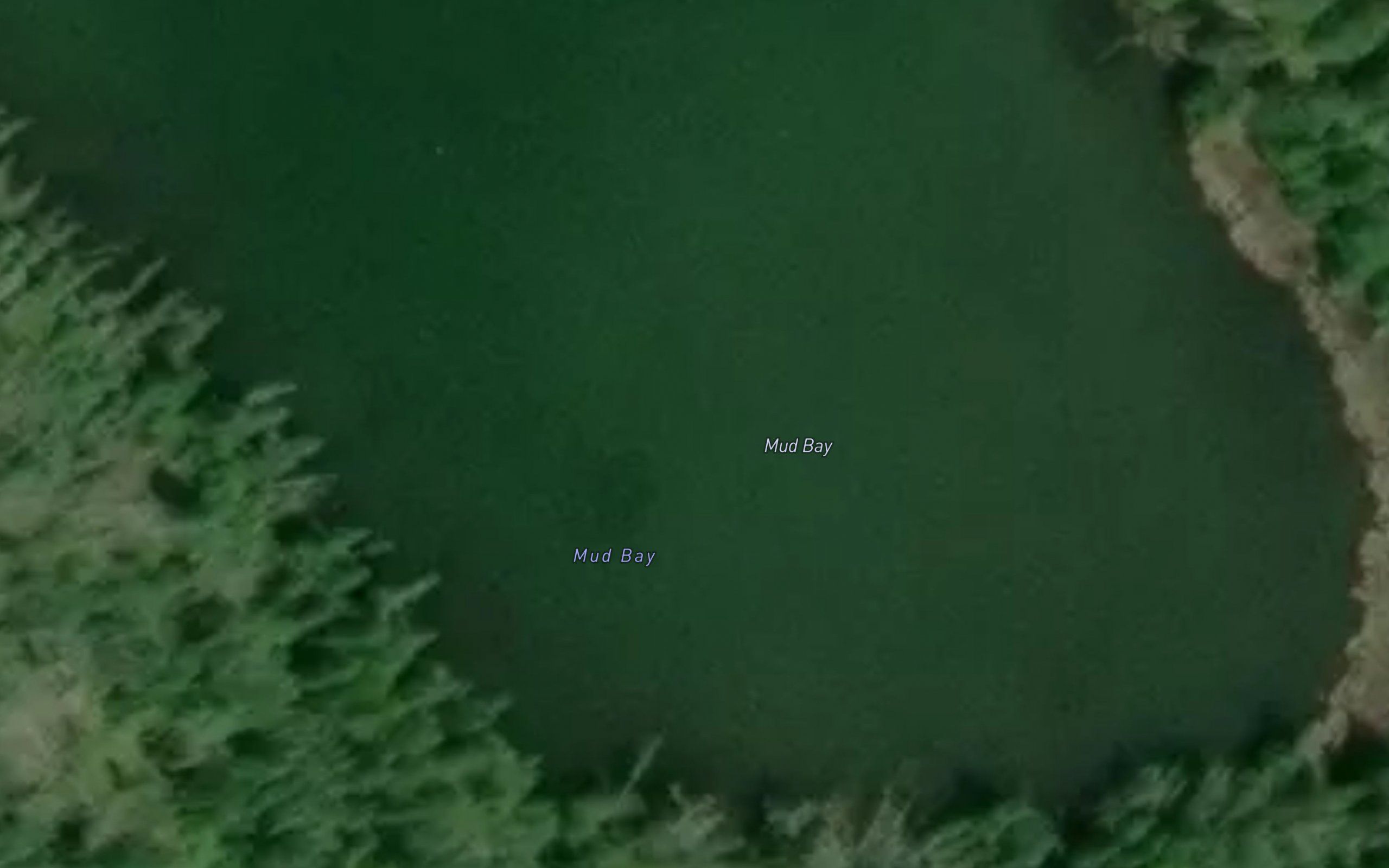 Mud Bay