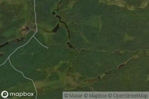 Little Otter Pond Outlet