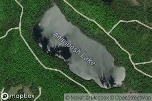 Animoosh Lake