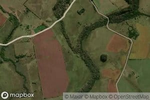 Arroyo de los Alamos