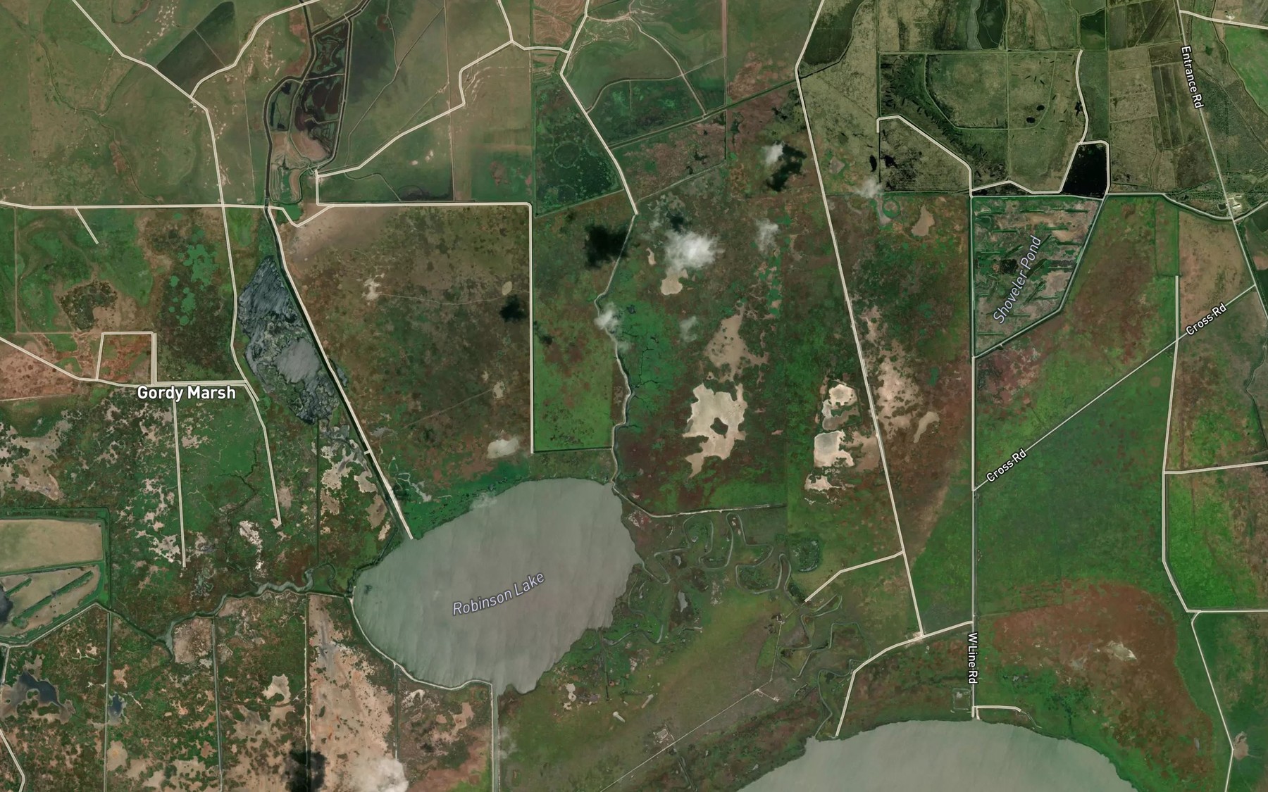 Satellite map of the Cane Bayou
