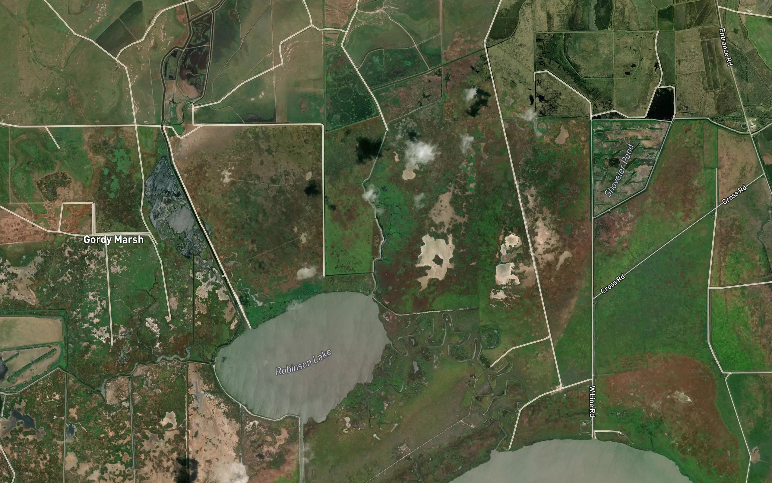 Cane Bayou