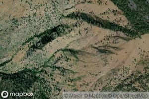 Saddle Spring