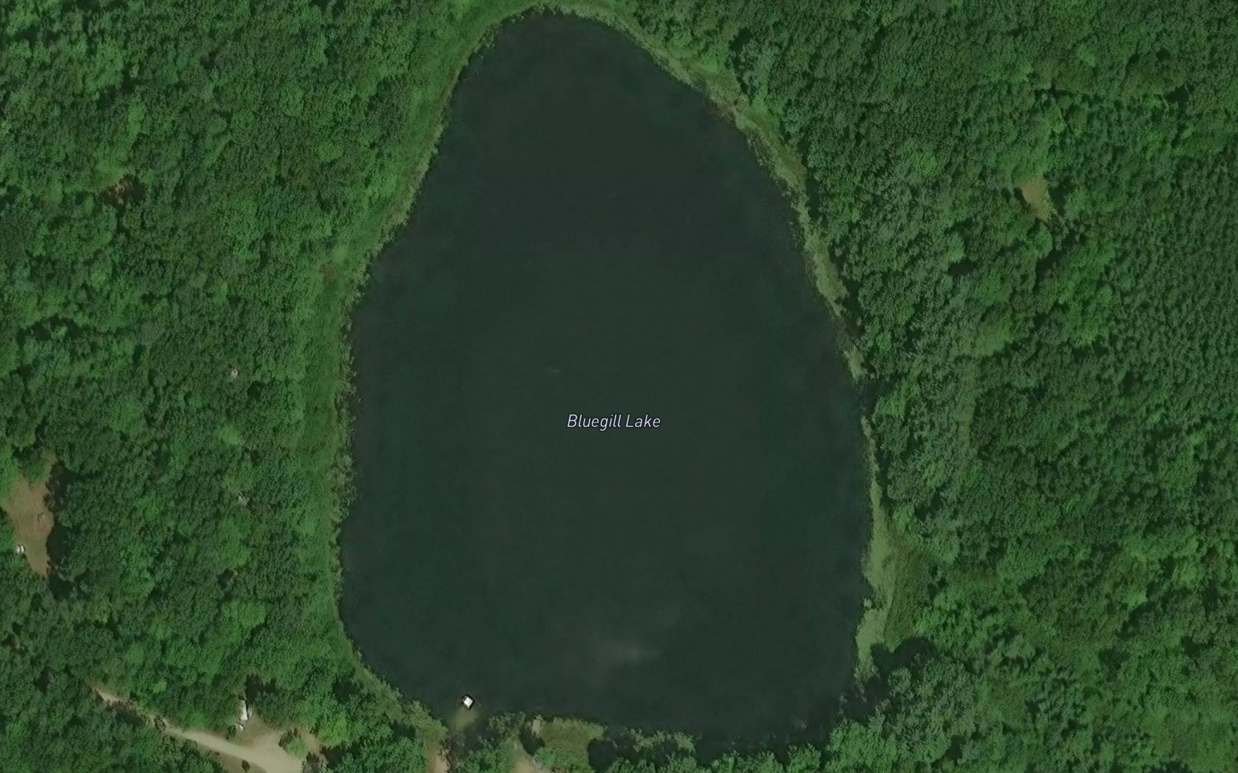 Satellite map of the Bluegill Lake