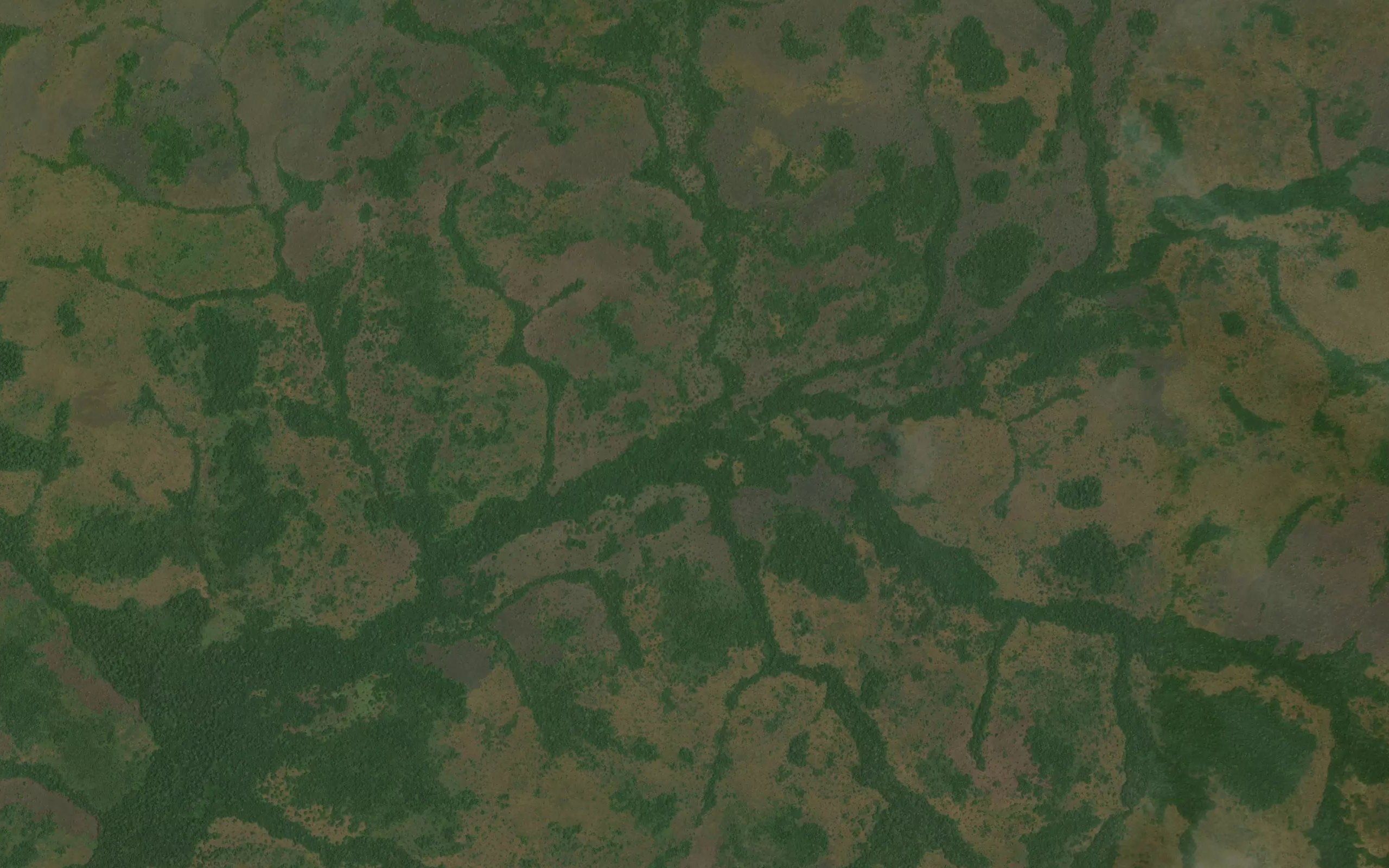 Posimba