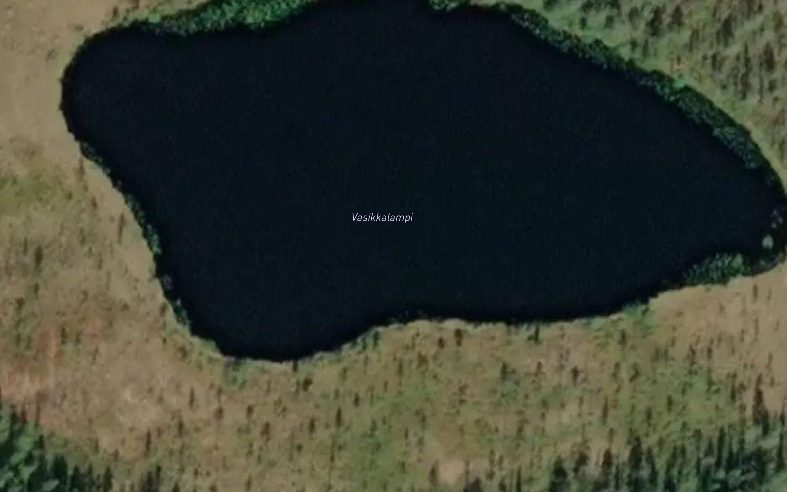 Vasikkalampi