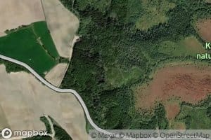 Ogla
