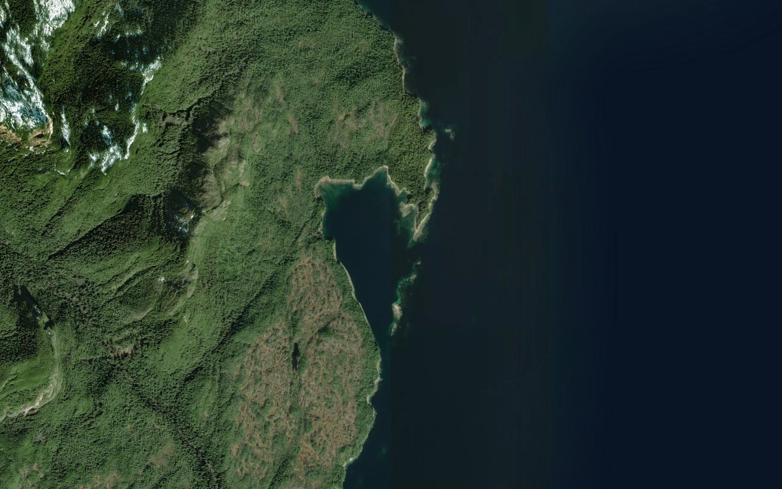 Seal Cove