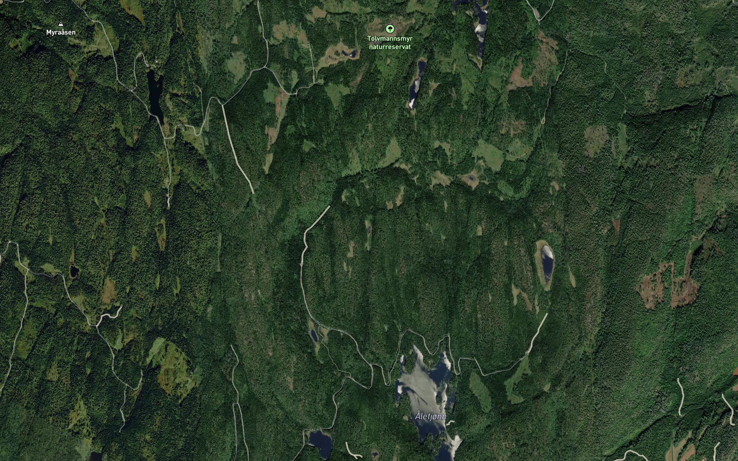 Bloktjernet
