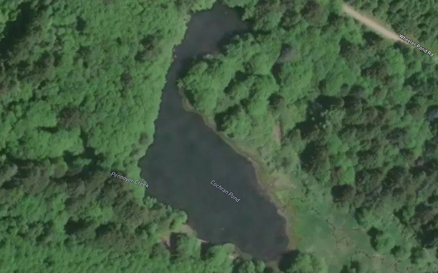 Satellite map of the Cochran Pond