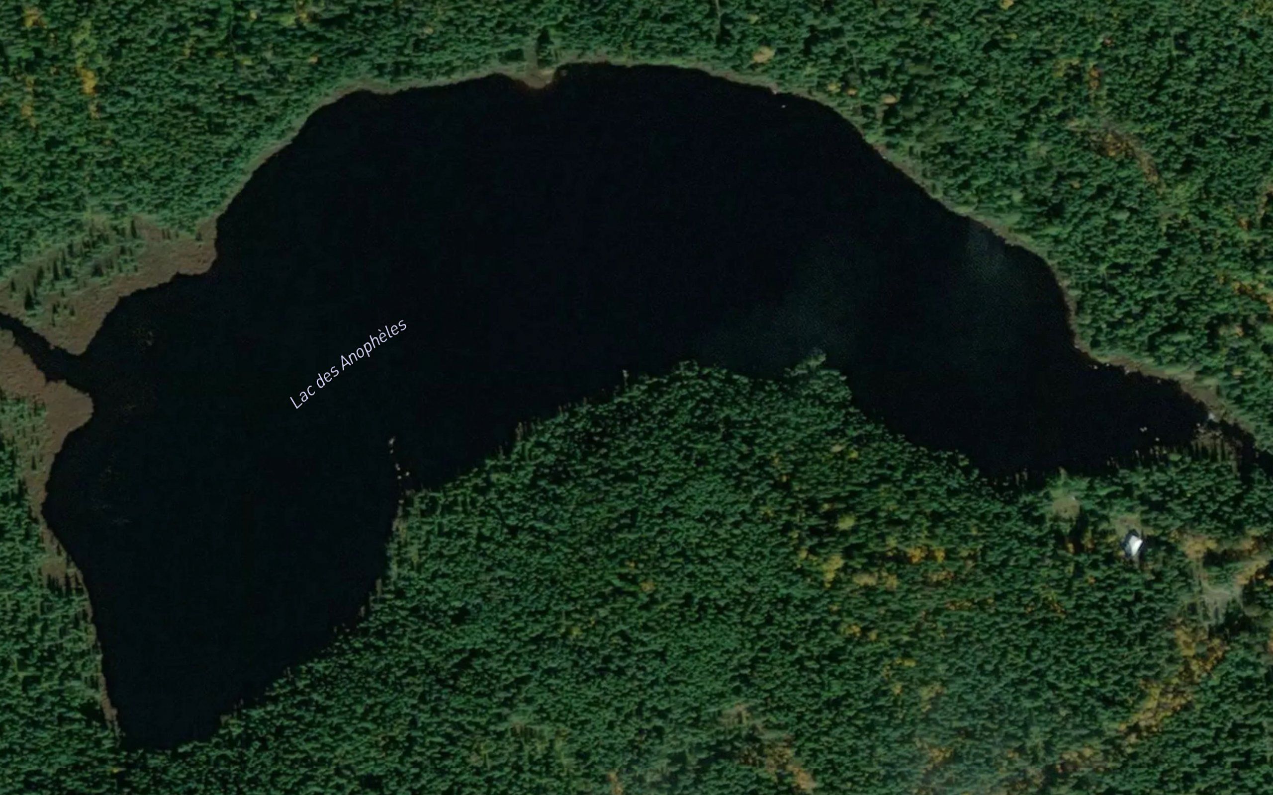 Lac des Anopheles