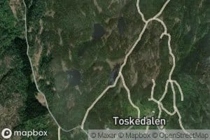 Yletjorn