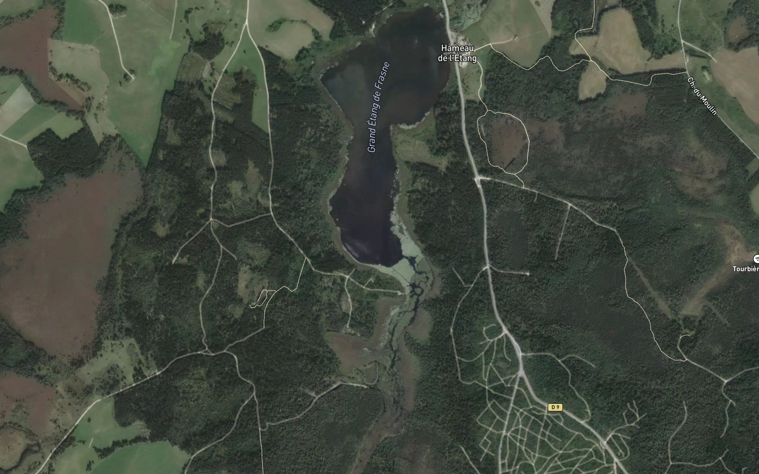Etang de Frasne