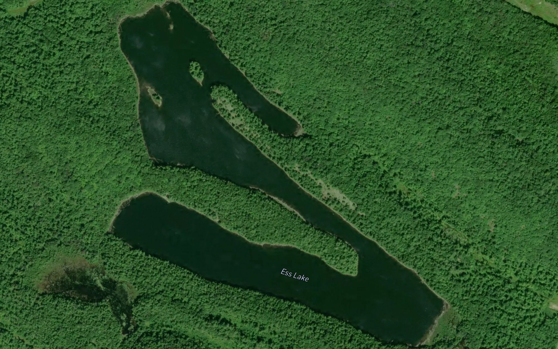Satellite map of the Ess Lake