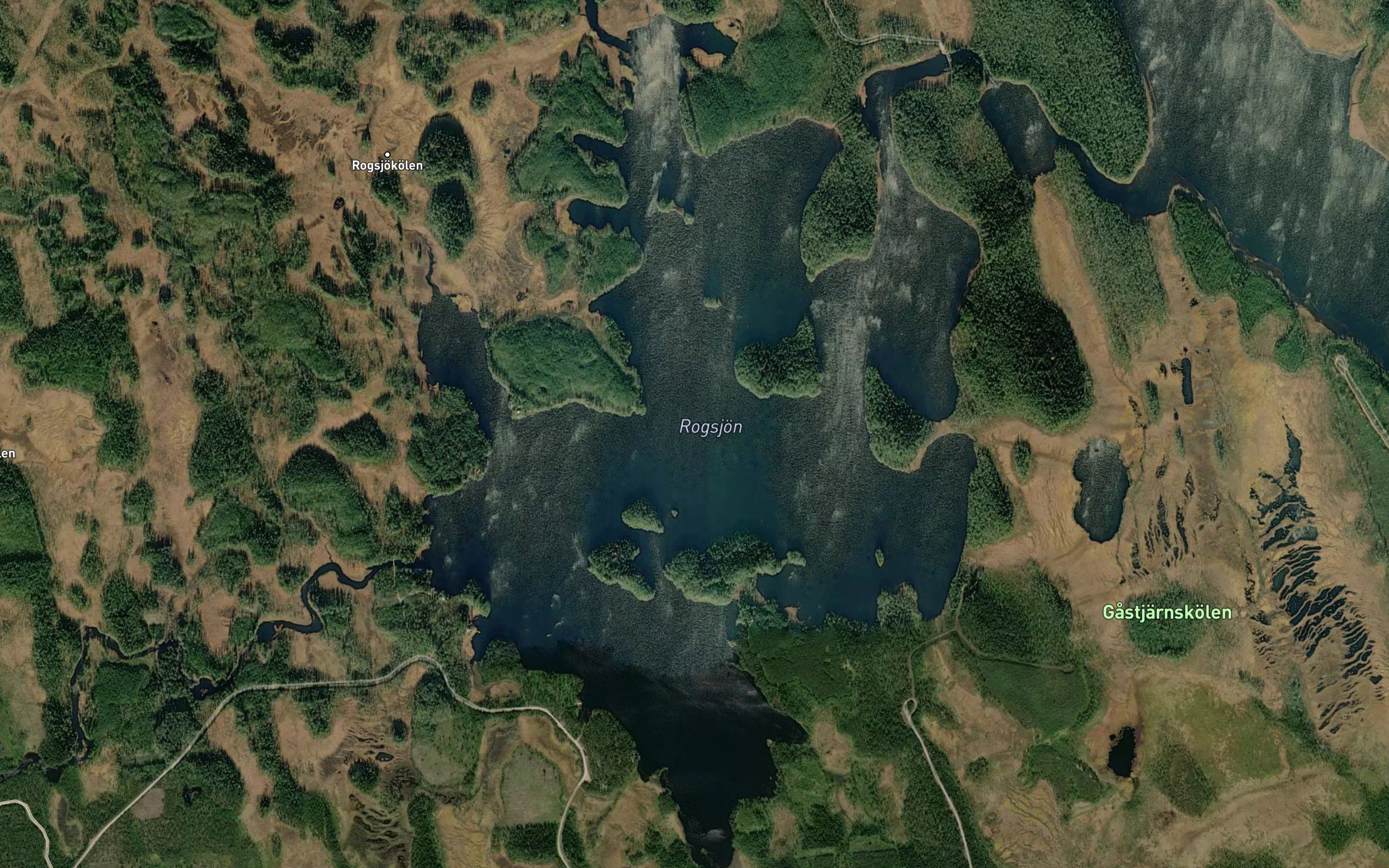 Rogsjon