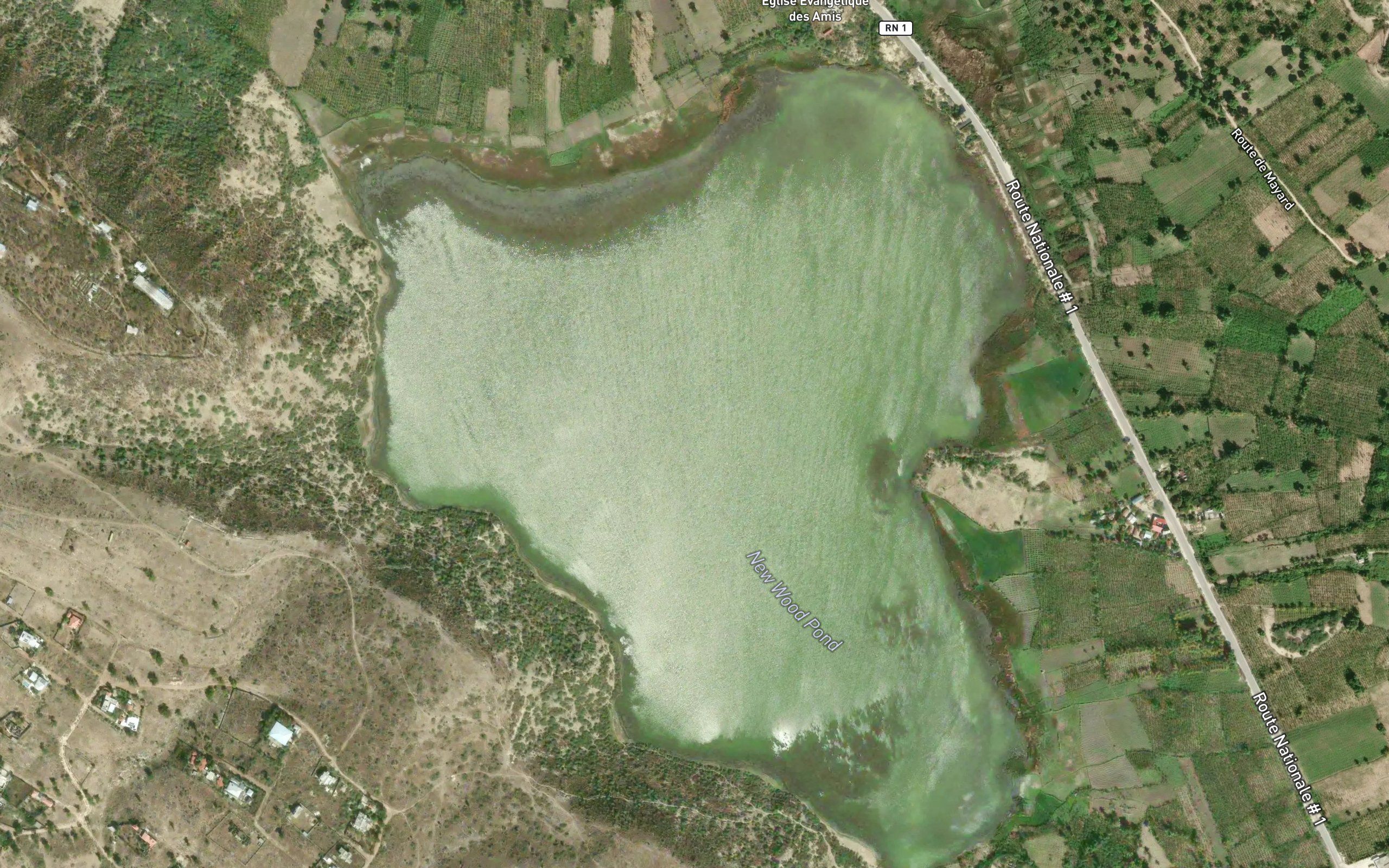 Etang Bois Neuf