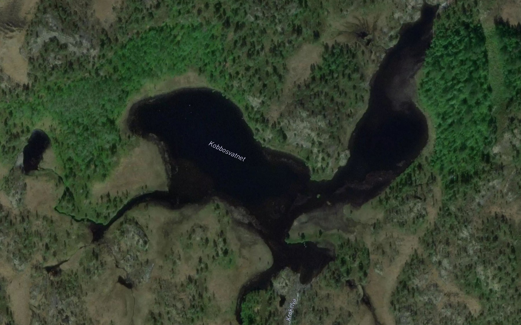 Satellite map of the Kobbosvatnet