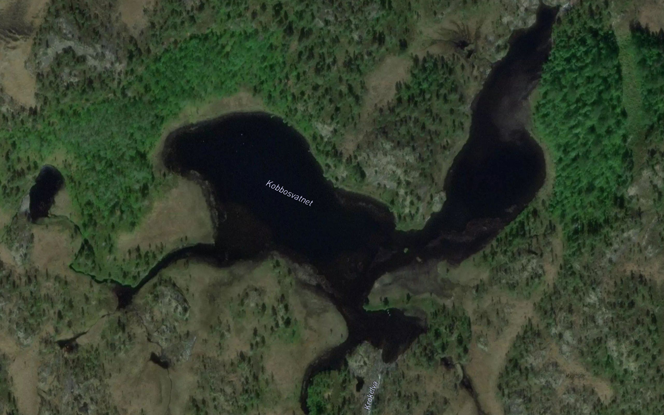 Kobbosvatnet