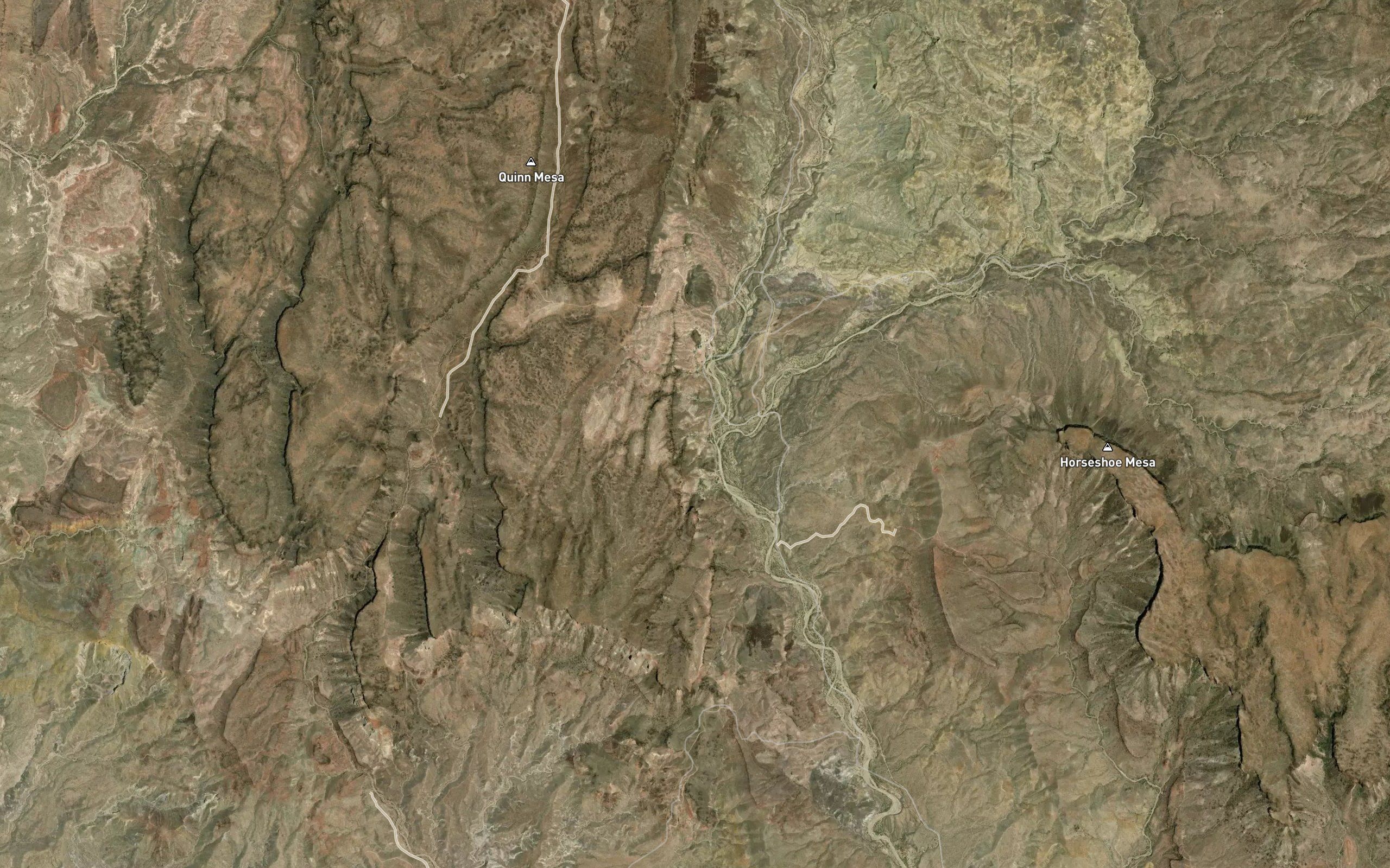 Newman Spring