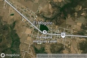 El Mogote