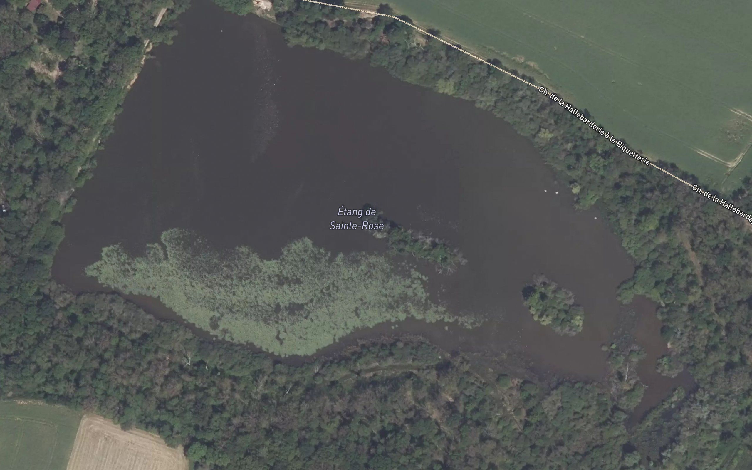 Etang Sainte-Rose