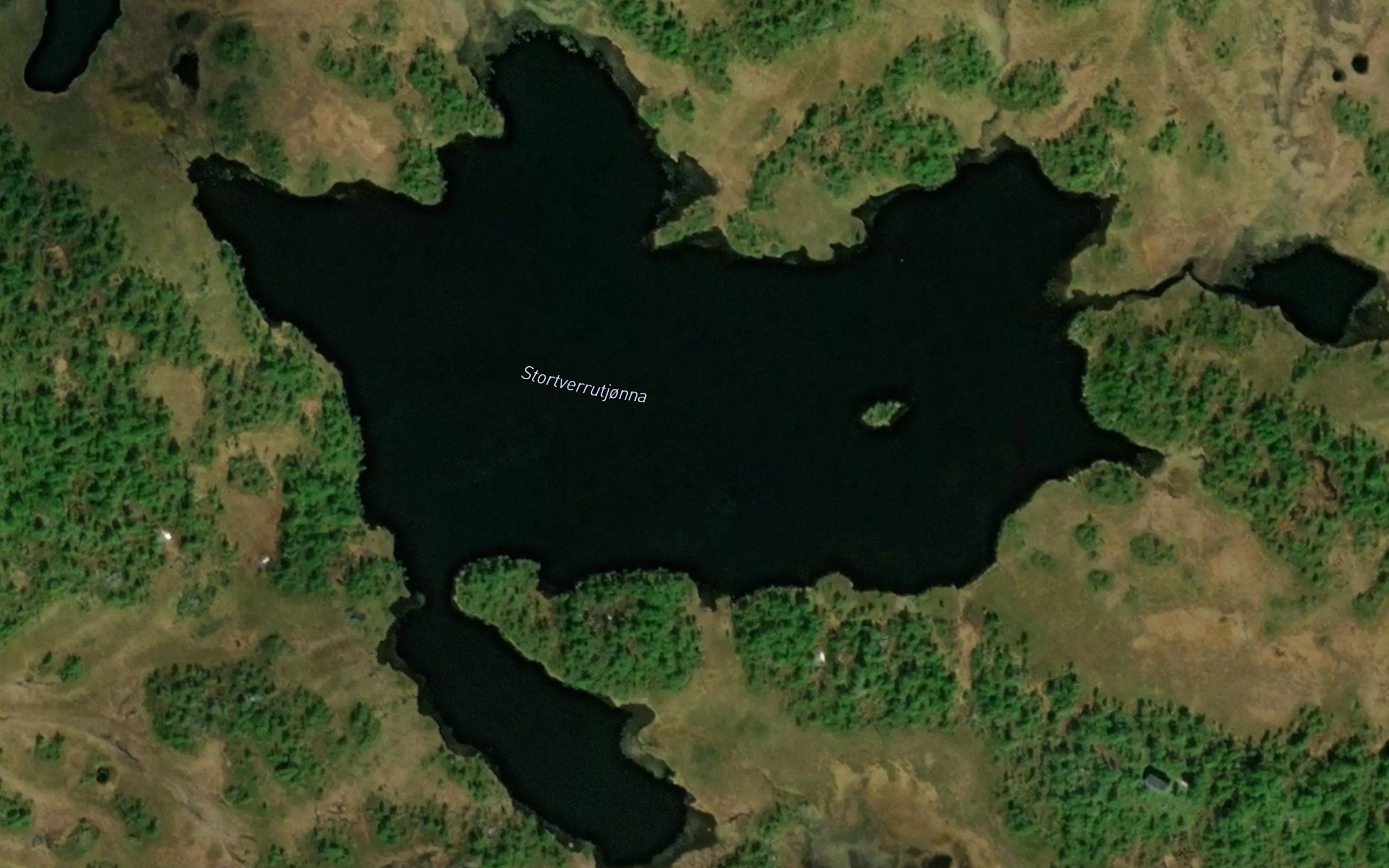 Stortverrutjorna