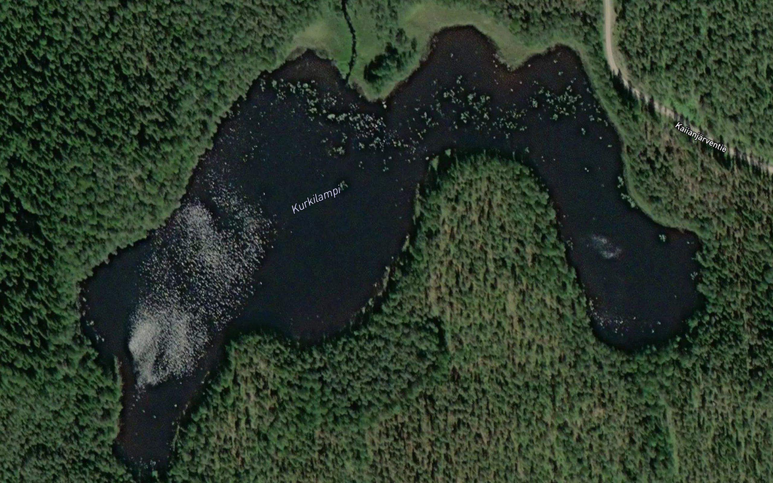Kurkilampi