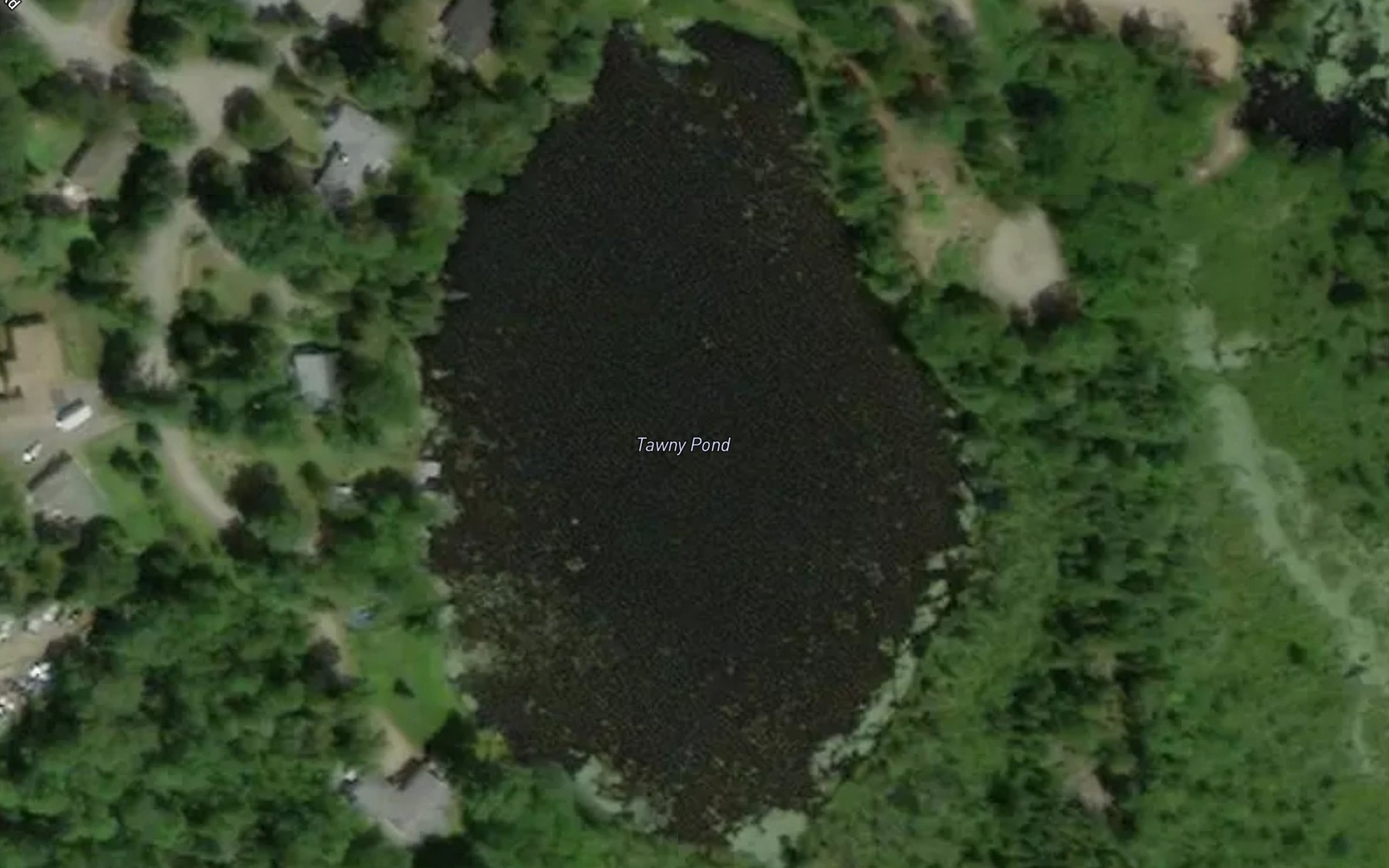 Satellite map of the Tawny Pond