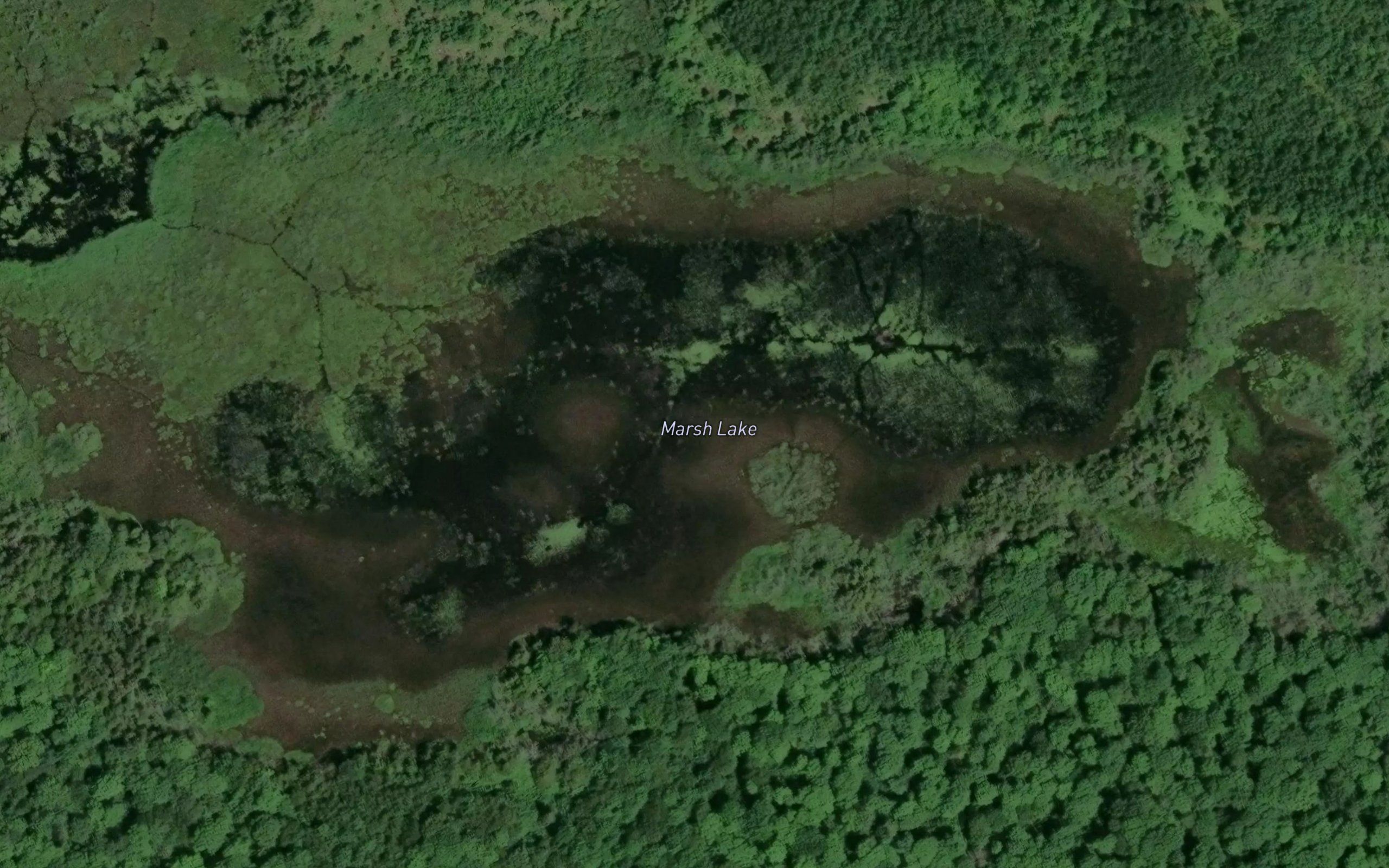 Marsh Lake