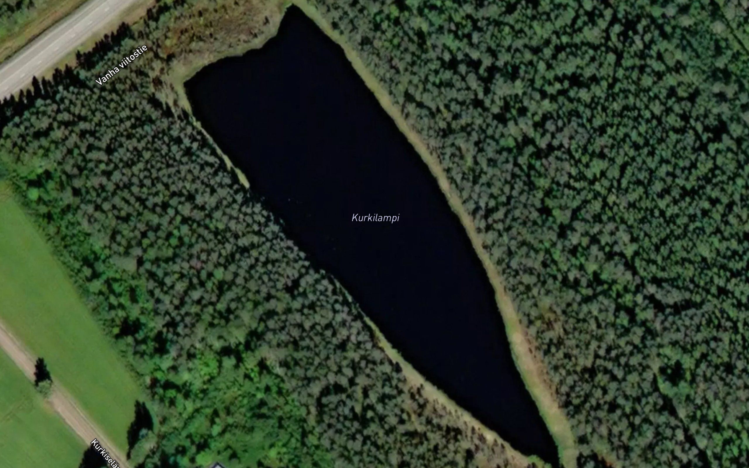 Kurkilampi