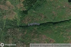 Engelielva