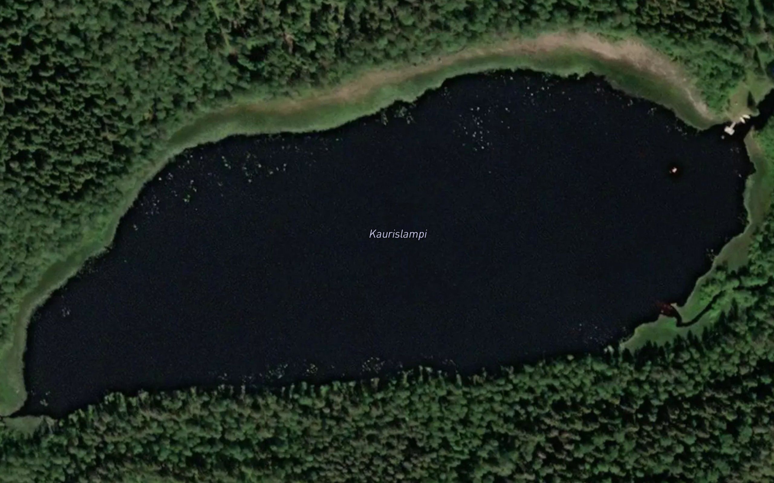 Kaurislampi