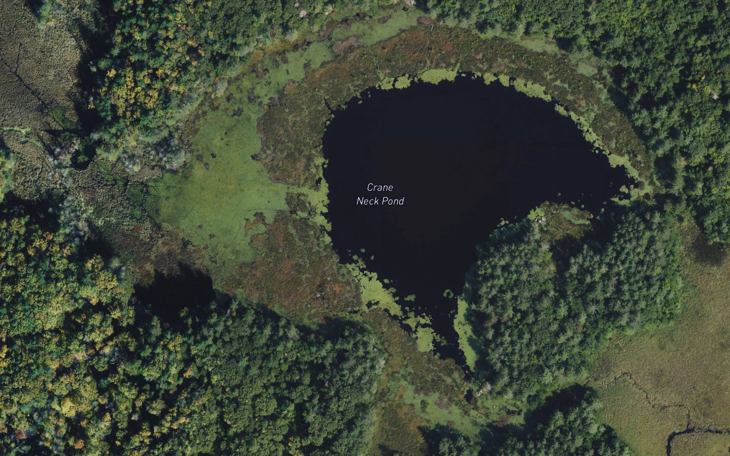 Crane Neck Pond