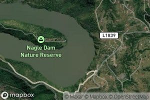 Nagle Dam