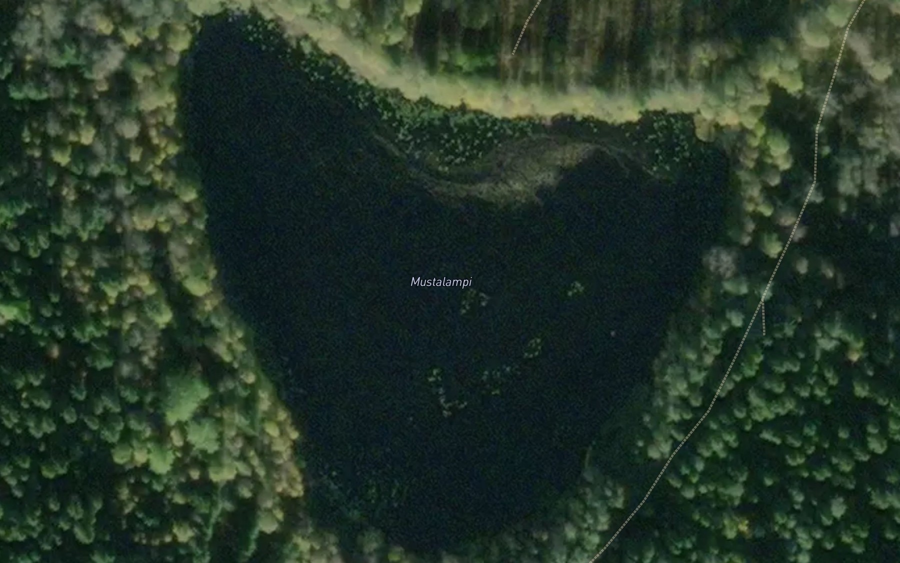 Satellite map of the Mustalampi