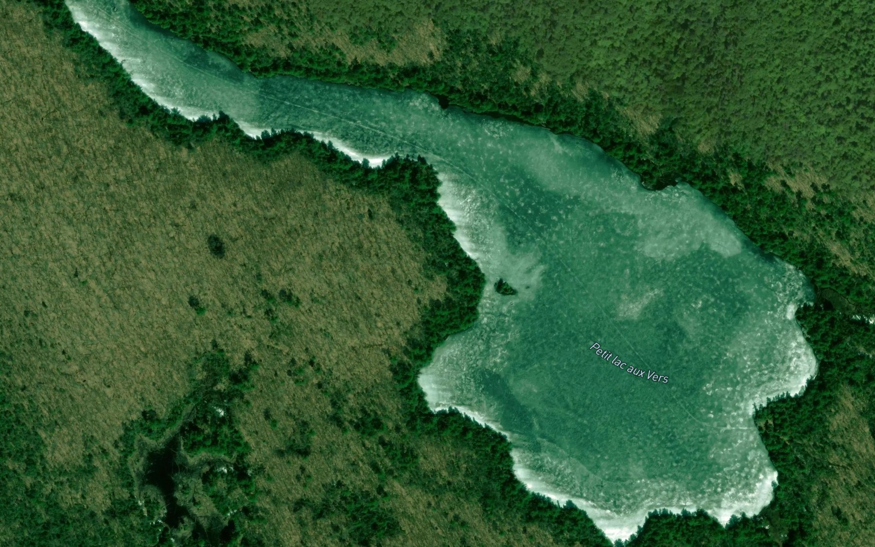 Satellite map of the Petit lac aux Vers