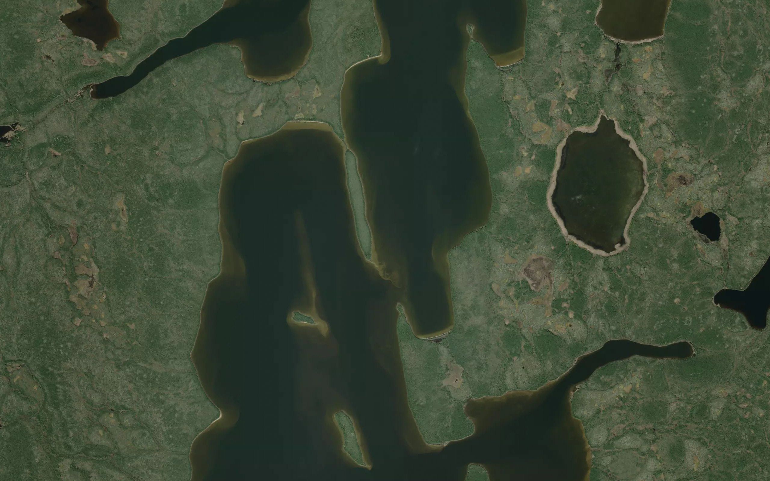 Trout Lake
